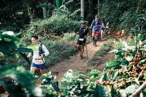 BIB: 
                            <button type="button" onclick="openModal(25855240)" class="btn btn-primary btn-sm float-right btn-popup" data-toggle="modal" data-target=".modal-high-quality">
                        <i class="fas fa-shopping-cart"></i> Add to Cart
                    </button>
                                            <button type="button" onclick="isThisMe(25855240, true)" class="btn btn-success btn-sm float-right btn-popup btn-isme hidden" data-toggle="tooltip" data-placement="bottom" title="นี่คือรูปของคุณใช่ไหม คลิกที่นี่เพื่อเอาเข้าอัลบั้ม">
                        <i class="fas fa-plus"></i> Add to album
                    </button>
                    <button type="button" onclick="isThisMe(25855240, false)" class="btn btn-warning btn-sm float-right btn-popup btn-isnotme hidden">
                        <i class="fas fa-ban"></i> Remove from album
                    </button>